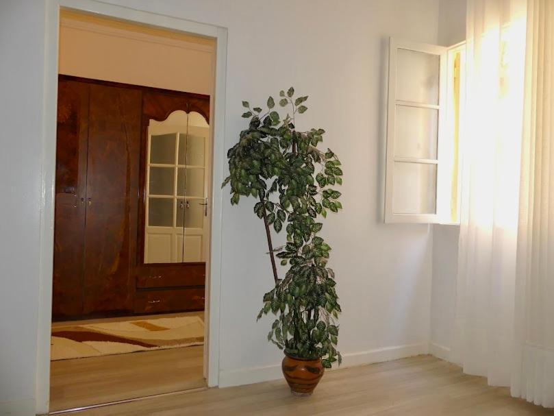A Cozy Home Right In The Heart Of Tangeri Esterno foto